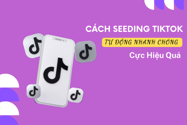 Cách seeding tiktok tự động, chuyên nghiệp