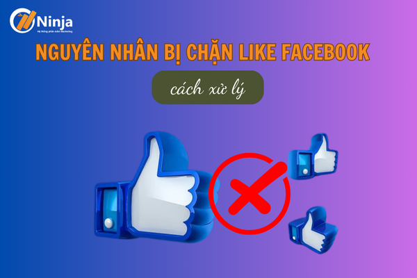 Lý do bị chặn like facebook và cách khắc phục